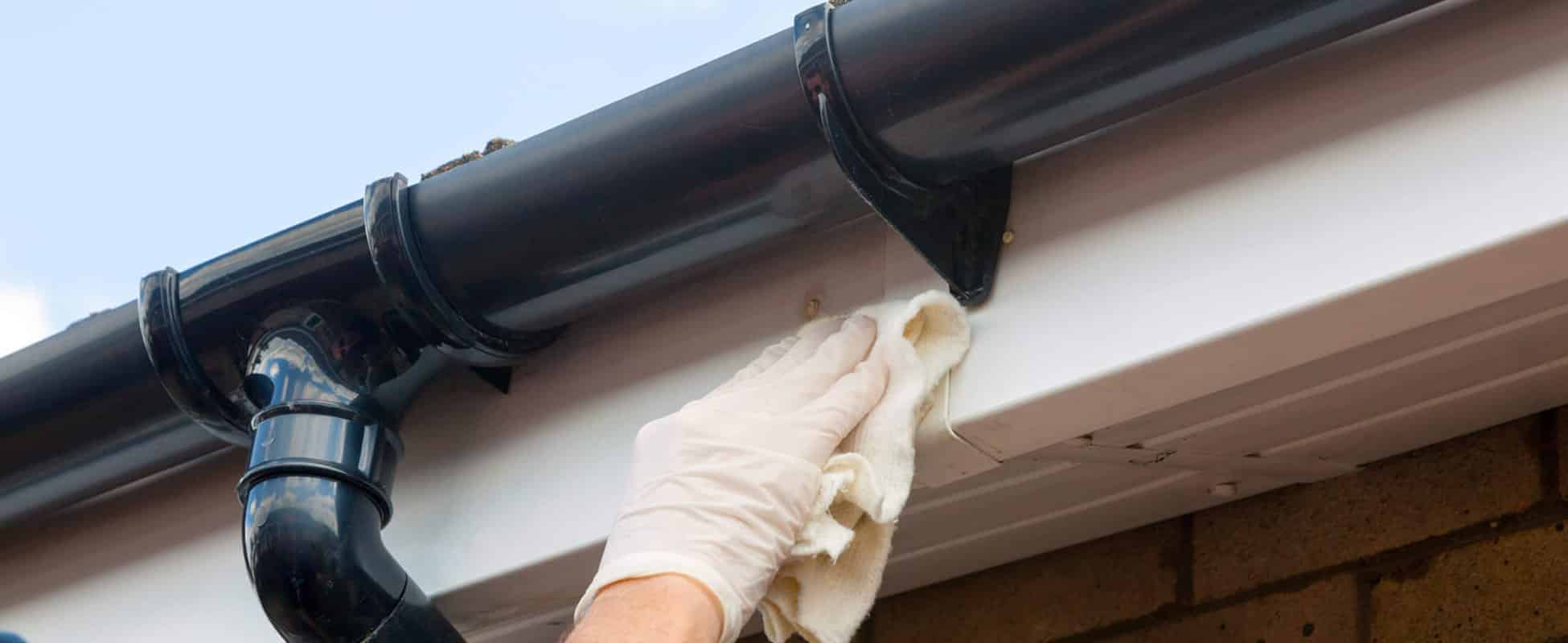 Fascia and Soffit Cleaning Services