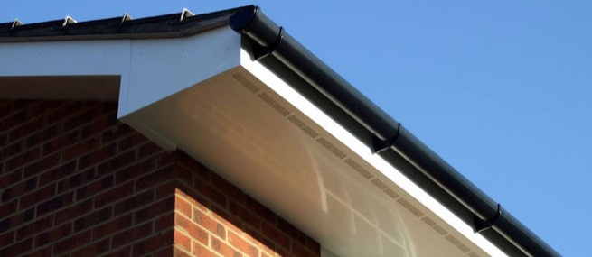 Fascia and Soffit Cleaning Services