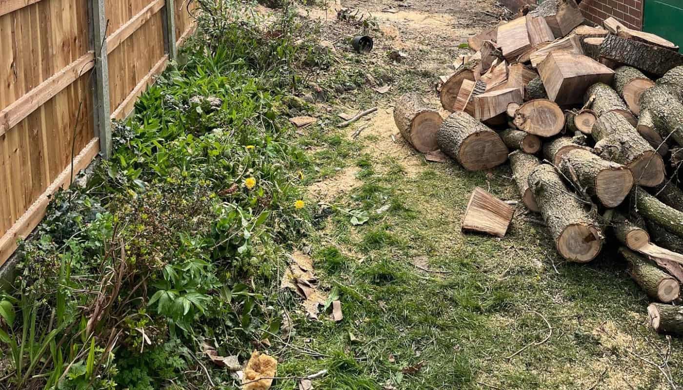 Tree Care and Gardening Services, Property Cleaning - Six Counties Cleaning and Tree Services