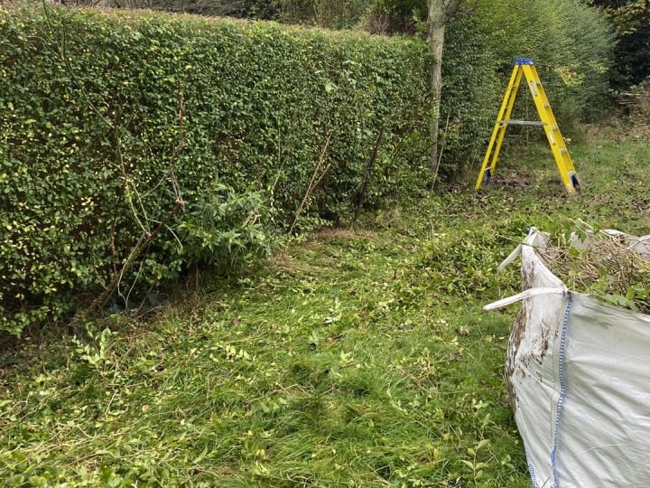 Garden Maintenance Services, Hedge Trimming, Overgrown Gardens