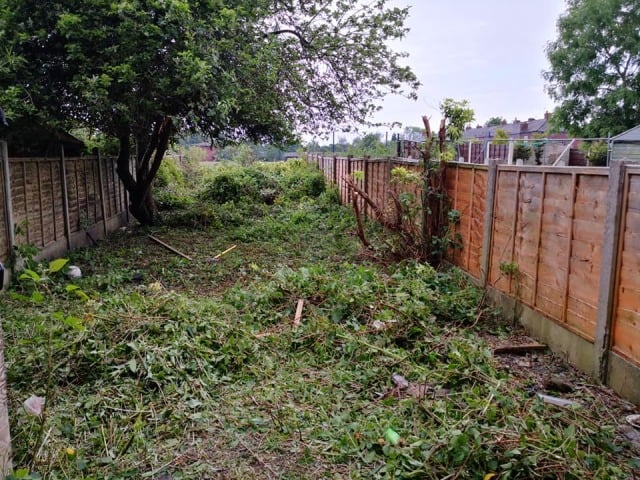 Overgrown Garden Clearance, Garden Tidy Up, Weed Clearing - After