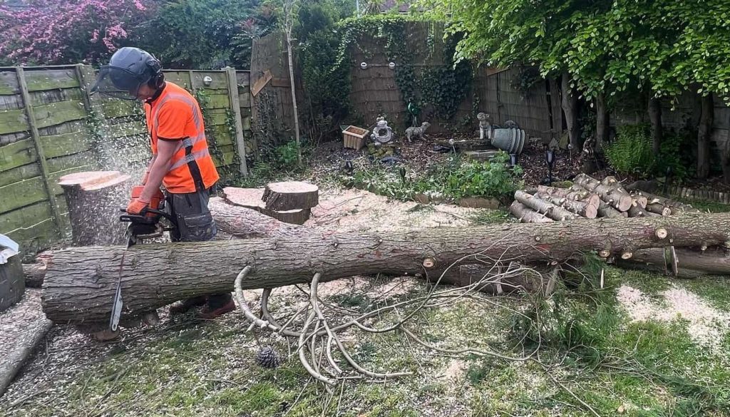 Tree Removal Services, Garden Maintenance, Hedge Trimming