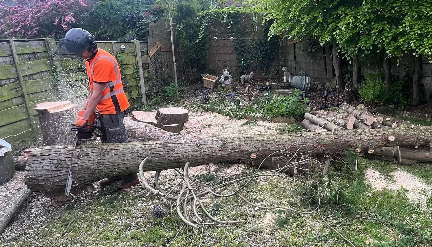 Tree Removal Services, Garden Maintenance, Hedge Trimming