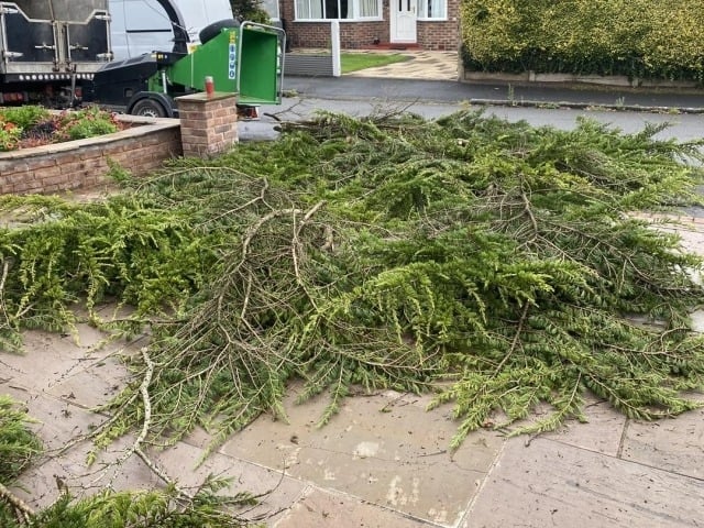 Tree Shredding, Tree Removal, Tree Topping, Tree Pruning Services